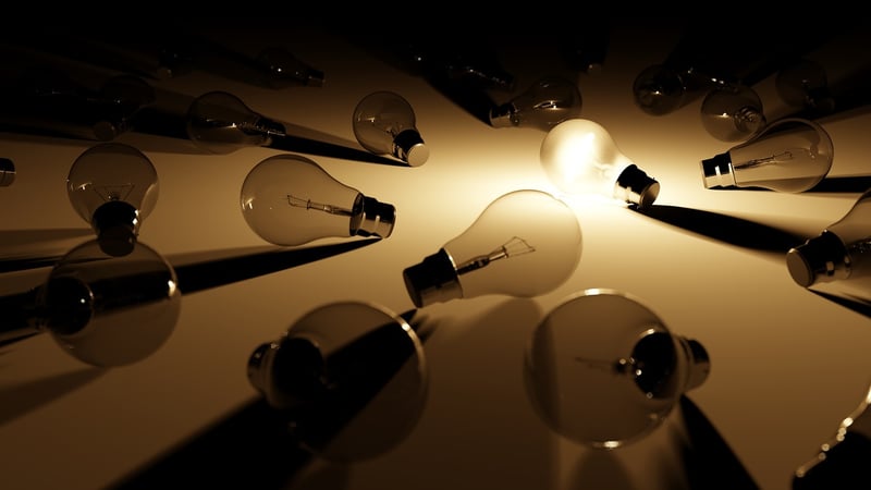 String Lights in Garden