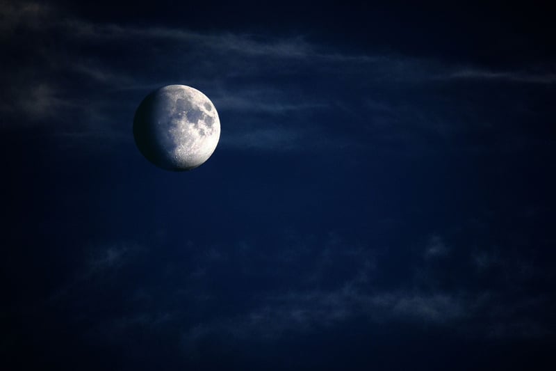 Moonlit Zen Garden